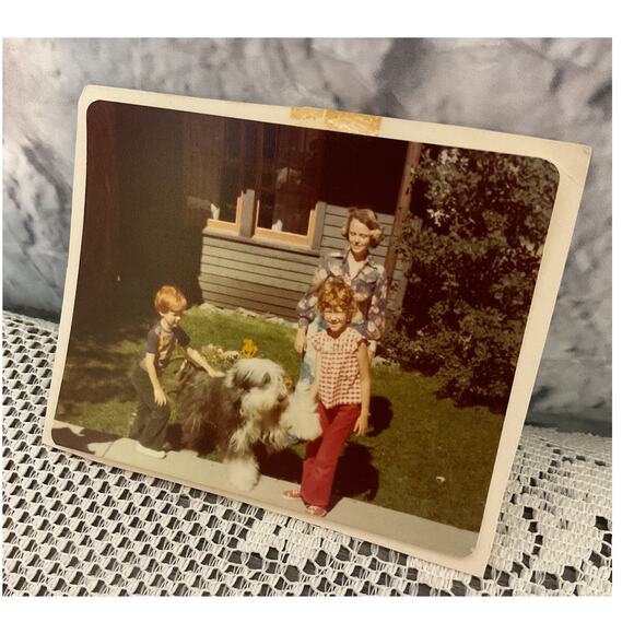1976 Sheep Dog Christmas Family Photo - Picture 2 of 6
